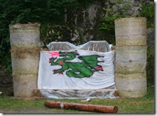 080822_3_sa_09_img_3348