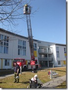 Bild 082